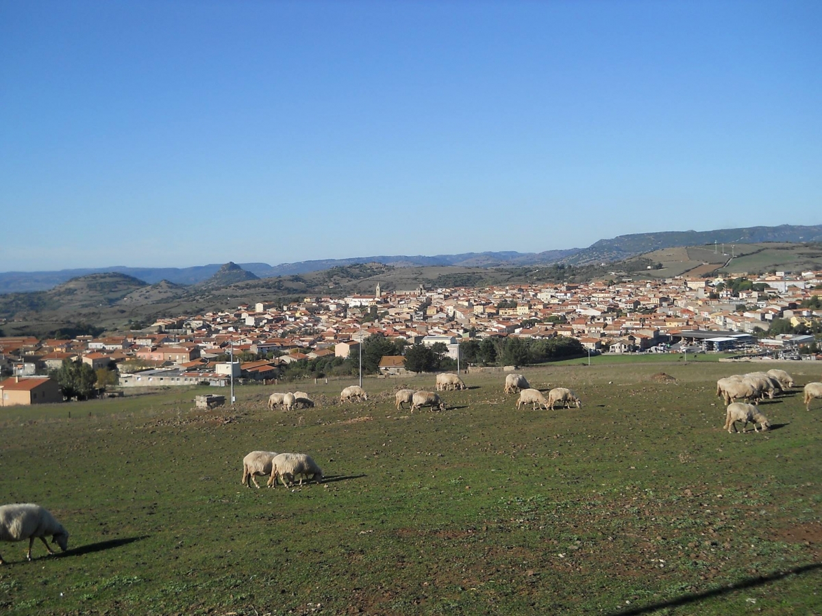 Pozzomaggiore-foto-Caria-c3f7-239e-274c-8fb2-cf10.jpg